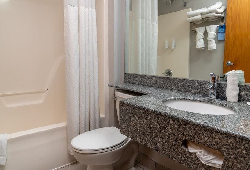 سوییت, Microtel Inn & Suites By Wyndham Pigeon Forge