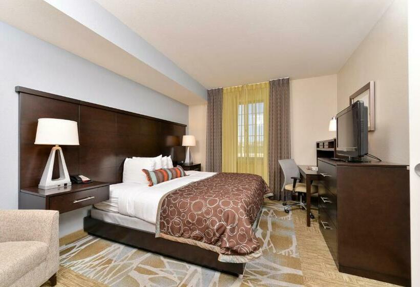行政套房, Staybridge Suites San Antonio Stone Oak, An Ihg
