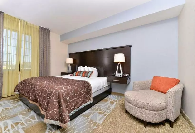 ２ベッドスイートルーム, Staybridge Suites San Antonio Stone Oak, An Ihg