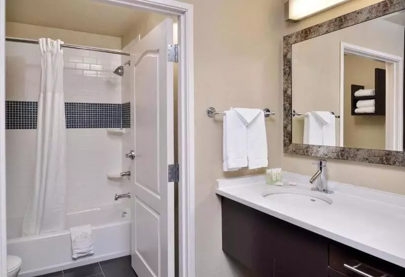 スタンダードスタジオ, Staybridge Suites San Antonio Stone Oak, An Ihg