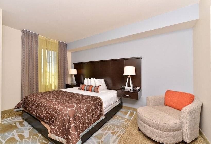 标准工作室, Staybridge Suites San Antonio Stone Oak, An Ihg