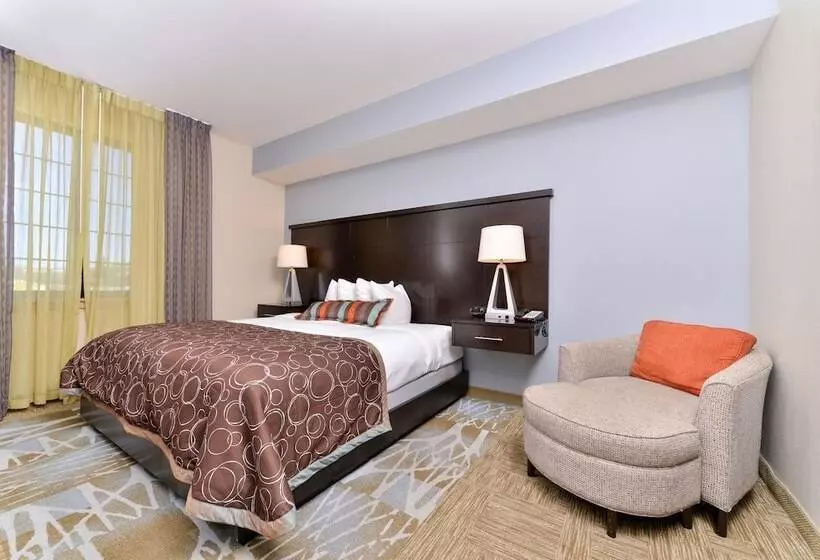 ２ベッドスイートルーム, Staybridge Suites San Antonio Stone Oak, An Ihg