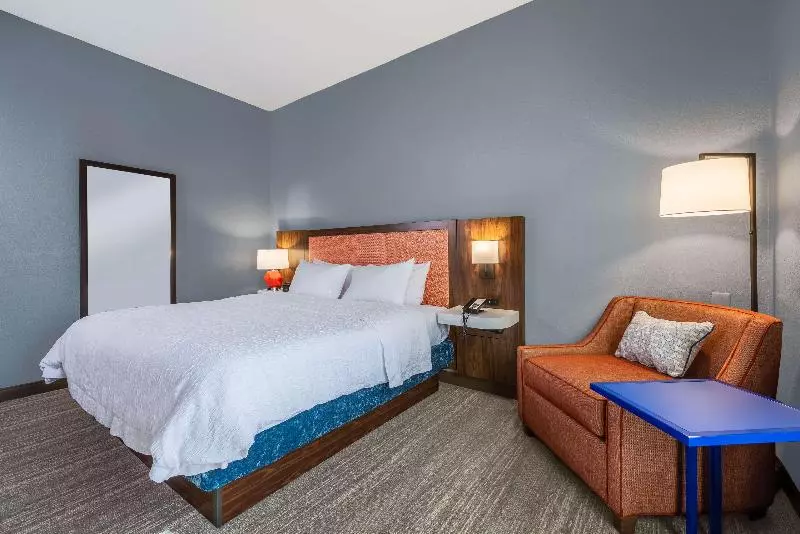 キングサイズベッドのスタンダードルーム, Hampton Inn & Suites Hopkinsville