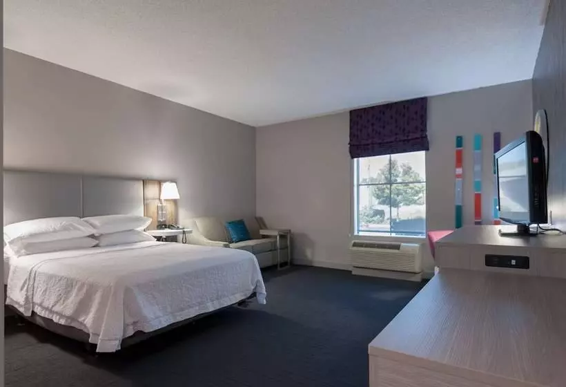 身障者適用スタンダードルーム, Hampton Inn East Windsor