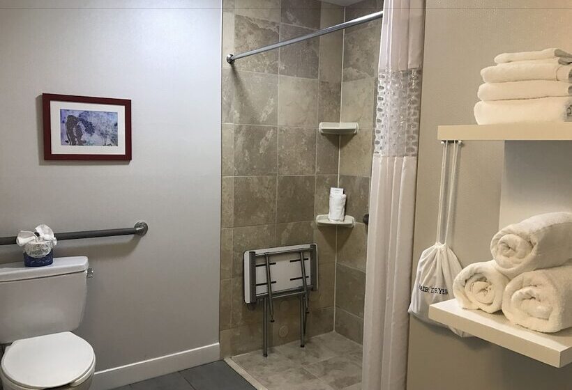 Номер Стандарт Адаптированный для Инвалидов, Hampton Inn East Windsor