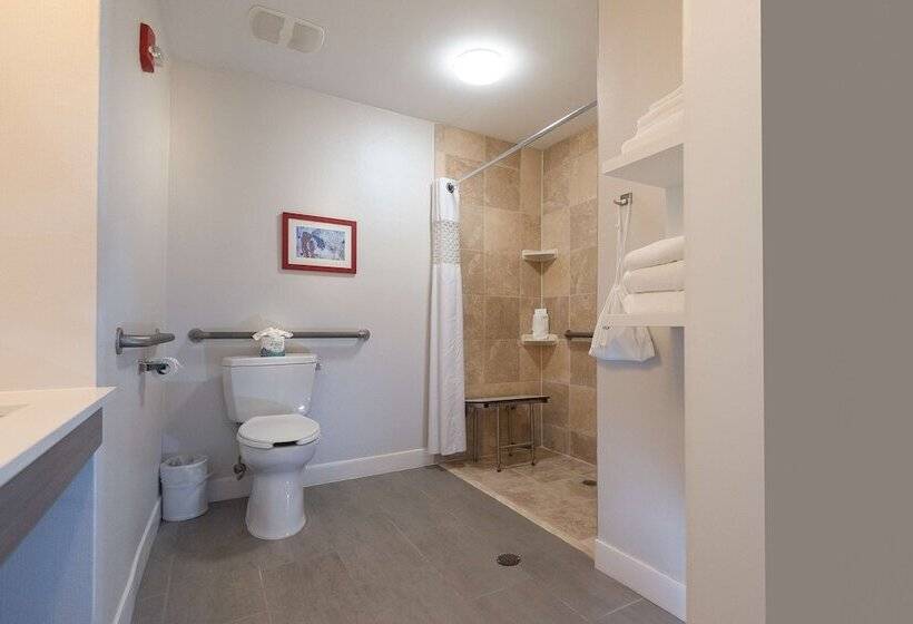 Номер Стандарт Адаптированный для Инвалидов, Hampton Inn East Windsor