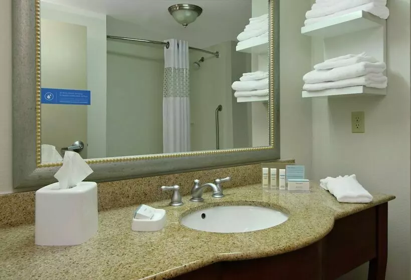 Standard-studio, Hampton Inn Jasper