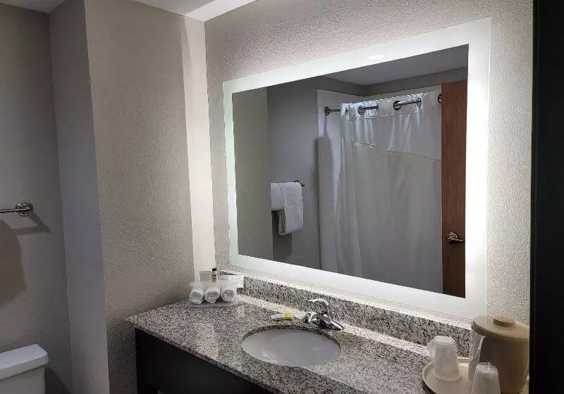 キングサイズベッドのスタンダードルーム, Holiday Inn Express & Suites Wilson Downtown, An Ihg