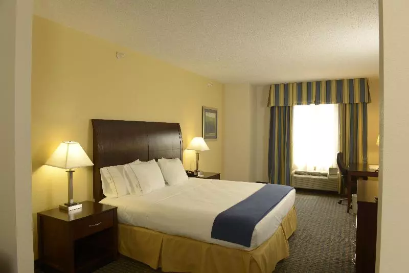 キングサイズベッドのスタンダードルーム, Holiday Inn Express & Suites Wilson Downtown, An Ihg