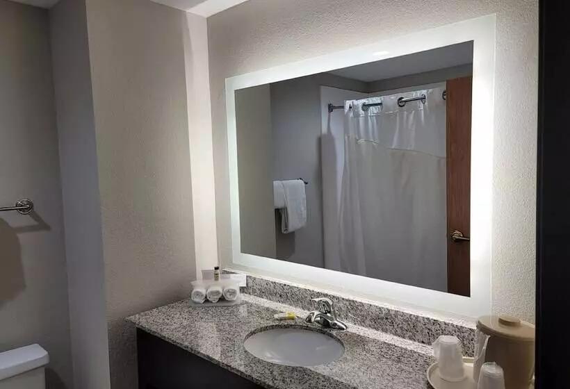 身障者適用スイートルーム, Holiday Inn Express & Suites Wilson Downtown, An Ihg