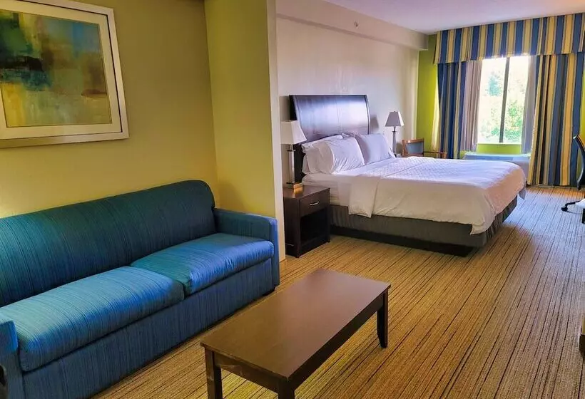 身障者適用スイートルーム, Holiday Inn Express & Suites Wilson Downtown, An Ihg