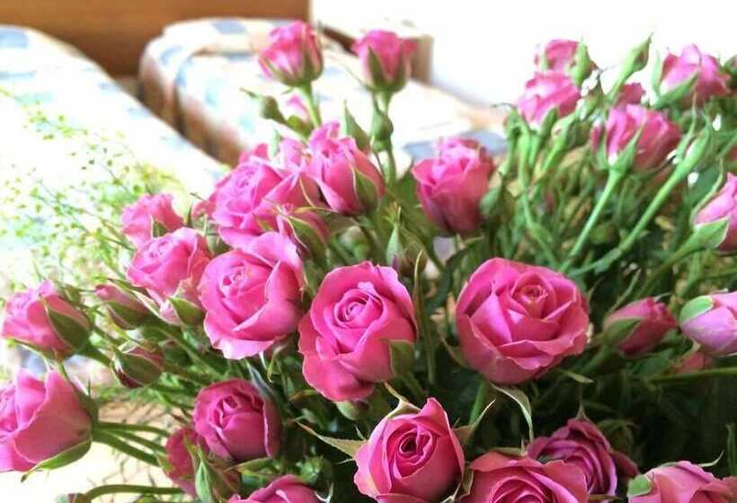 חדר סטנדרט, M. Moniatis