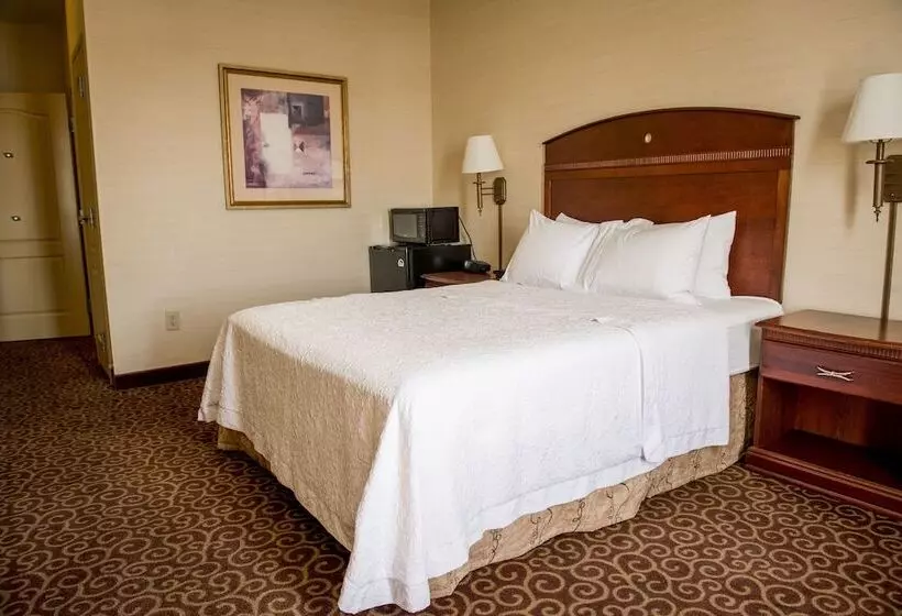身障者適用スタンダードルーム, Hampton Inn Plover/stevens Point