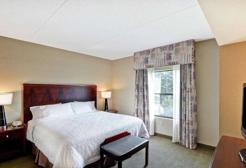 스위트, Hampton Inn Sayre