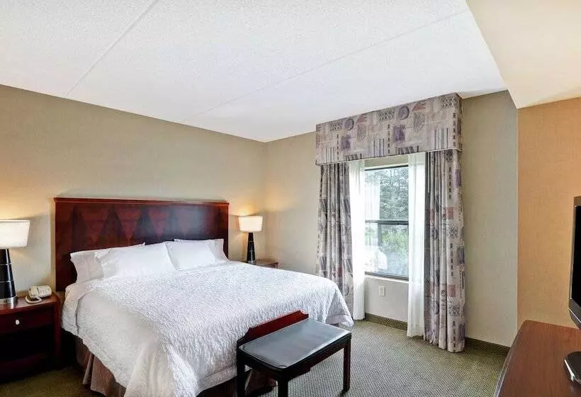 スイート, Hampton Inn Sayre