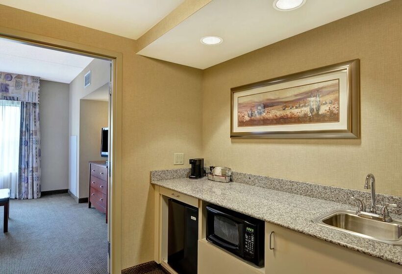 スイート, Hampton Inn Sayre