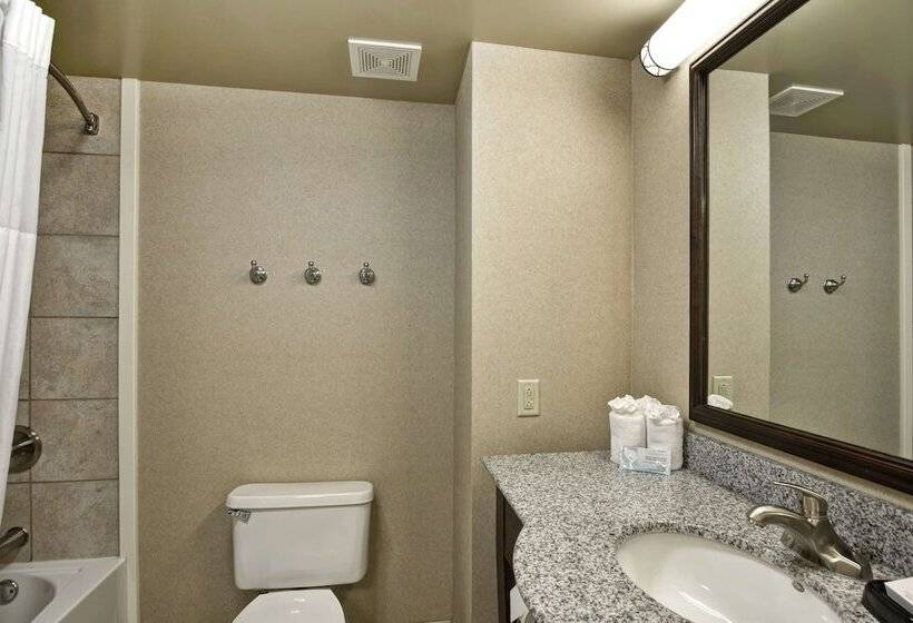 스탠다드 룸 더블 침대 2개, Hampton Inn Sayre