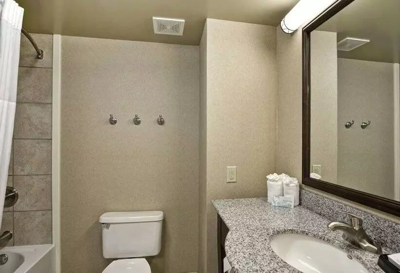 ２ダブルベッドのスタンダードルーム, Hampton Inn Sayre