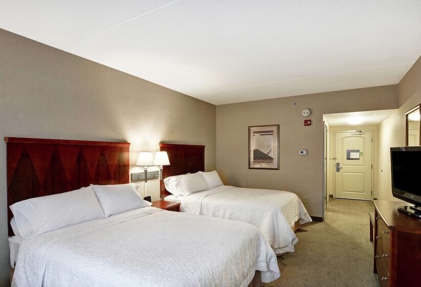 ２ダブルベッドのスタンダードルーム, Hampton Inn Sayre