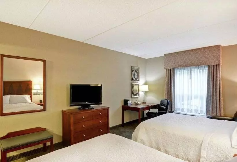 ２ダブルベッドのスタンダードルーム, Hampton Inn Sayre