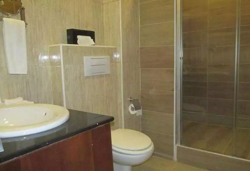 اتاق استاندارد, Holiday Inn Accra Airport By Ihg