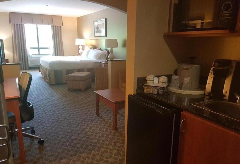 Estúdio standard Cama King, Holiday Inn Carbondale   Conference Center, An Ihg