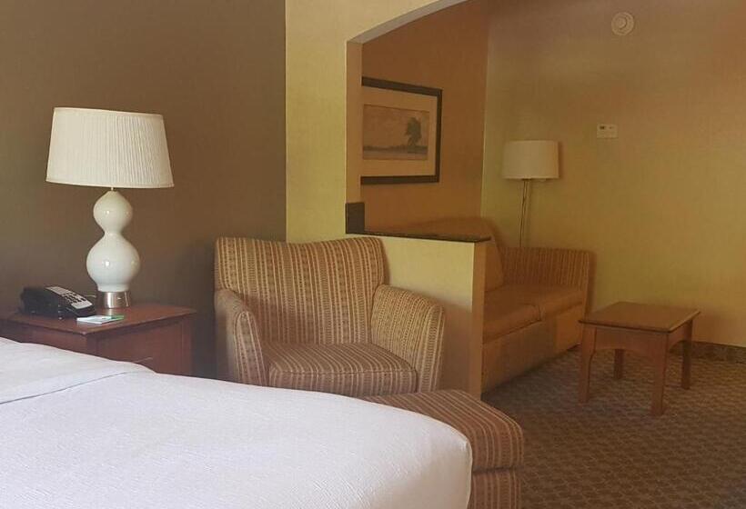 キングサイドベッドのスタンダードワンルーム, Holiday Inn Carbondale   Conference Center, An Ihg