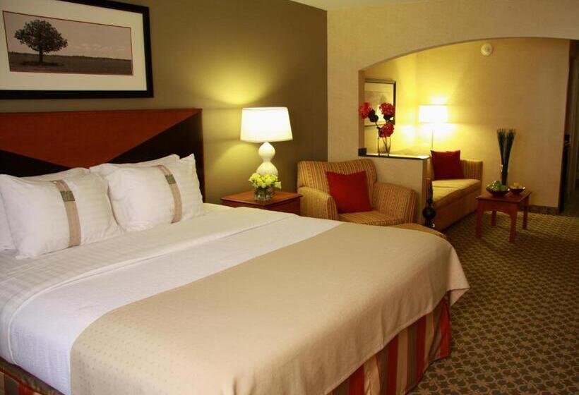 סטודיו סטנדרט, מיטה זוגית, Holiday Inn Carbondale   Conference Center, An Ihg