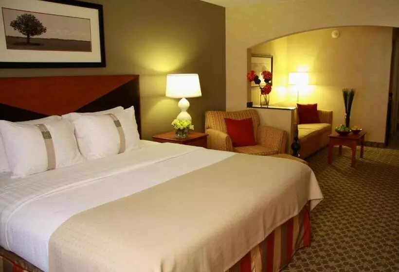 キングサイドベッドのスタンダードワンルーム, Holiday Inn Carbondale   Conference Center, An Ihg