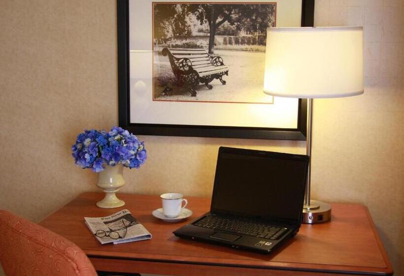 キングサイズベッドのスタンダードルーム, Holiday Inn Carbondale   Conference Center, An Ihg