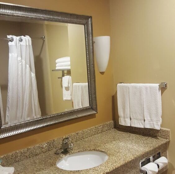 장애인을 위한 스탠다드 룸, Holiday Inn Express Hotel & Suites Pensacola West Navy Base, An Ihg