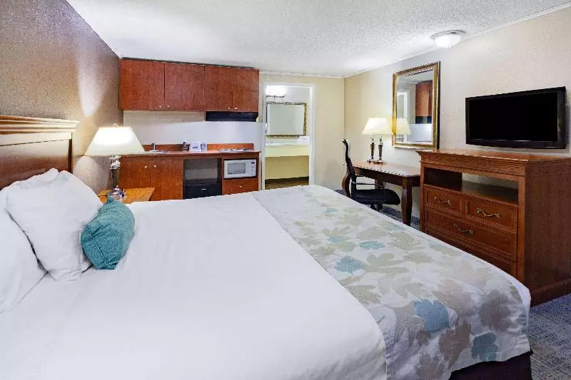 スタンダードルーム, Wyndham Garden Cancun Downtown