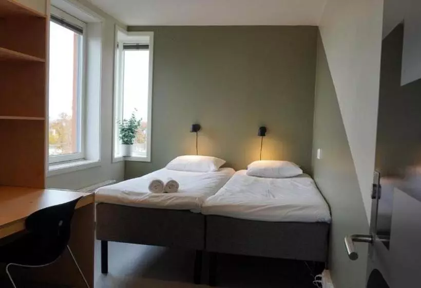 اتاق استاندارد با سرویس بهداشتی مشترک, Rumi Hostel