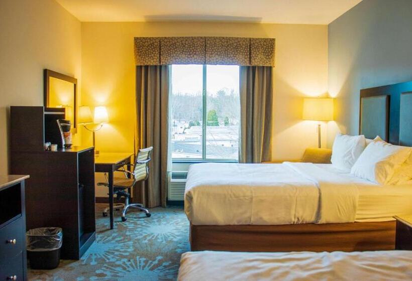 غرفه قياسيه سريرين مزدوجين, Comfort Inn & Suites Plainvillefoxboro