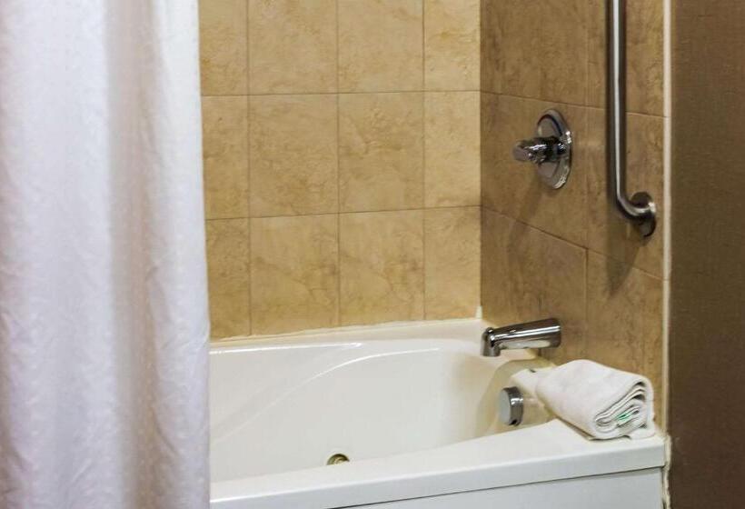 غرفة قياسية سرير كينج, Comfort Inn & Suites Plainvillefoxboro