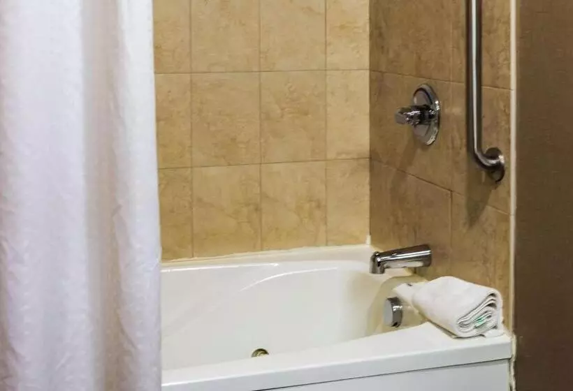 キングサイズベッドのスタンダードルーム, Comfort Inn & Suites Plainvillefoxboro