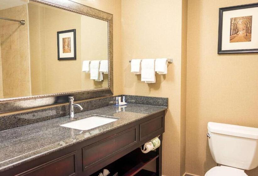 스탠다드 룸 킹사이즈 침대, Comfort Inn & Suites Plainvillefoxboro