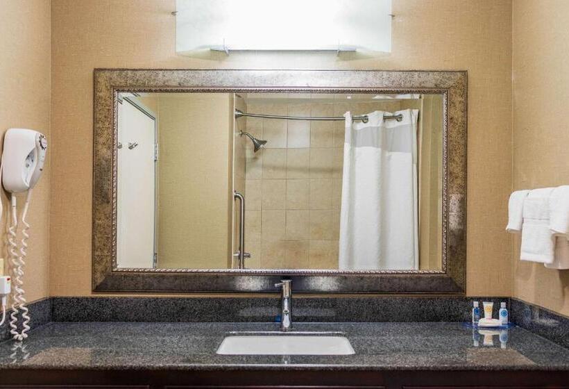 장애인을 위한 킹사이즈 침대 스탠다드 룸, Comfort Inn & Suites Plainvillefoxboro