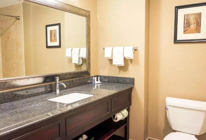 身障者適用キングサイズベッドルーム, Comfort Inn & Suites Plainvillefoxboro