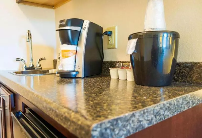 身障者適用キングサイズベッドルーム, Comfort Inn & Suites Plainvillefoxboro
