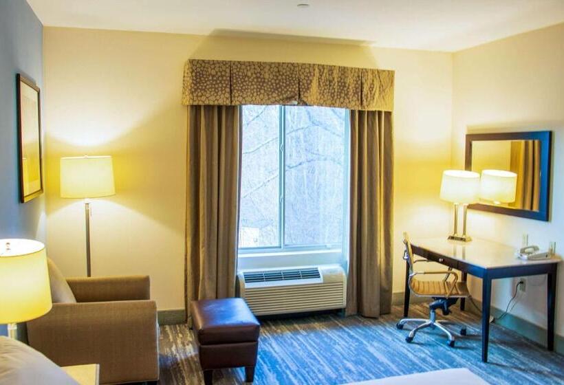 غرفة قياسية سرير كينج لذوى الإحتياجات الخاصة, Comfort Inn & Suites Plainvillefoxboro