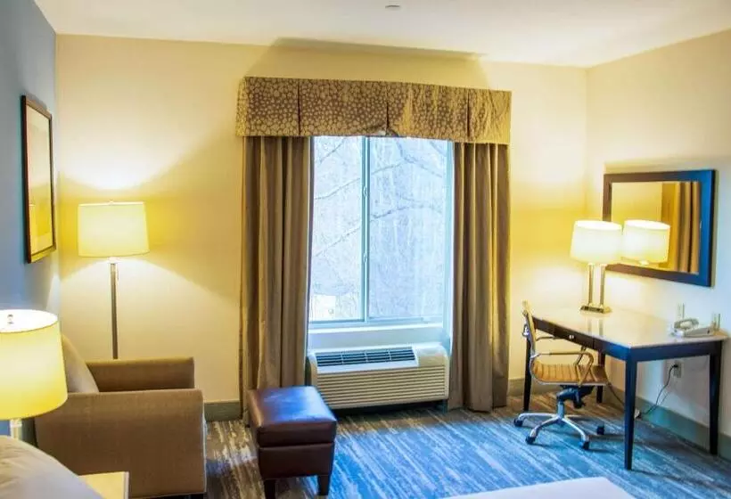 身障者適用キングサイズベッドルーム, Comfort Inn & Suites Plainvillefoxboro