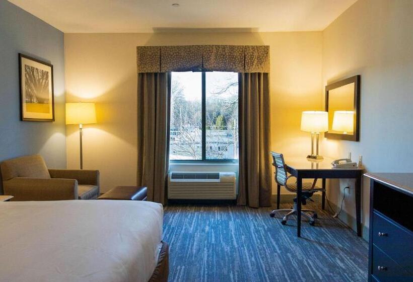 장애인을 위한 킹사이즈 침대 스탠다드 룸, Comfort Inn & Suites Plainvillefoxboro