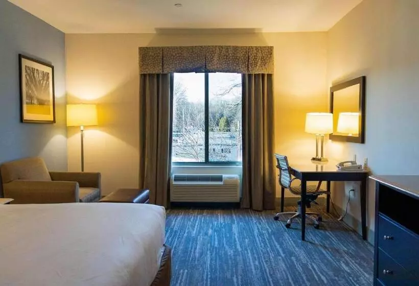 身障者適用キングサイズベッドルーム, Comfort Inn & Suites Plainvillefoxboro