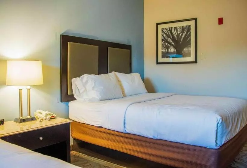 身障者適用スタンダードルーム, Comfort Inn & Suites Plainvillefoxboro