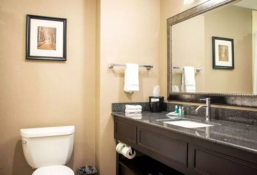 ２ダブルベッドのスタンダードルーム, Comfort Inn & Suites Plainvillefoxboro