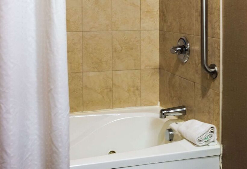 غرفه قياسيه سريرين مزدوجين, Comfort Inn & Suites Plainvillefoxboro