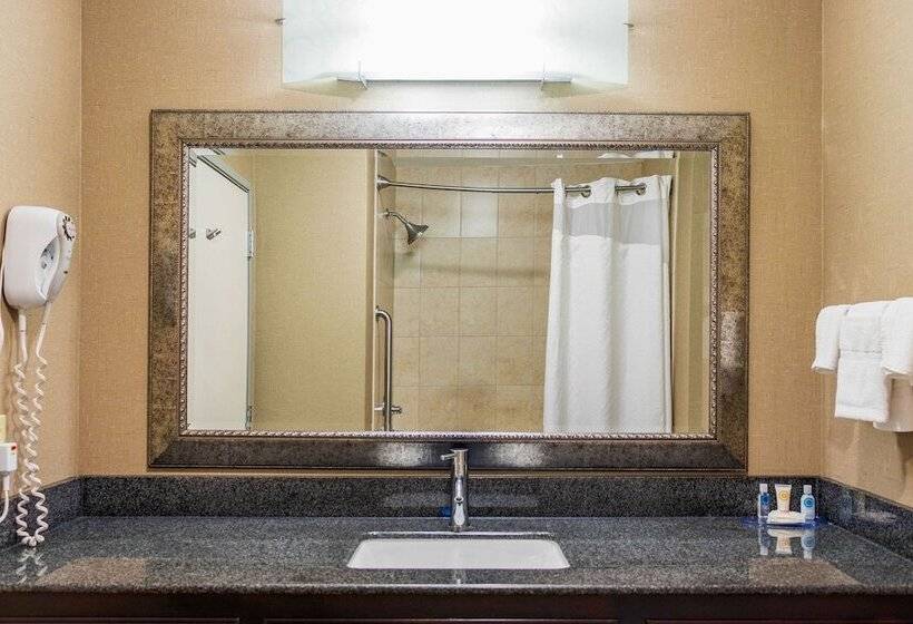 스탠다드 룸 더블 침대 2개, Comfort Inn & Suites Plainvillefoxboro