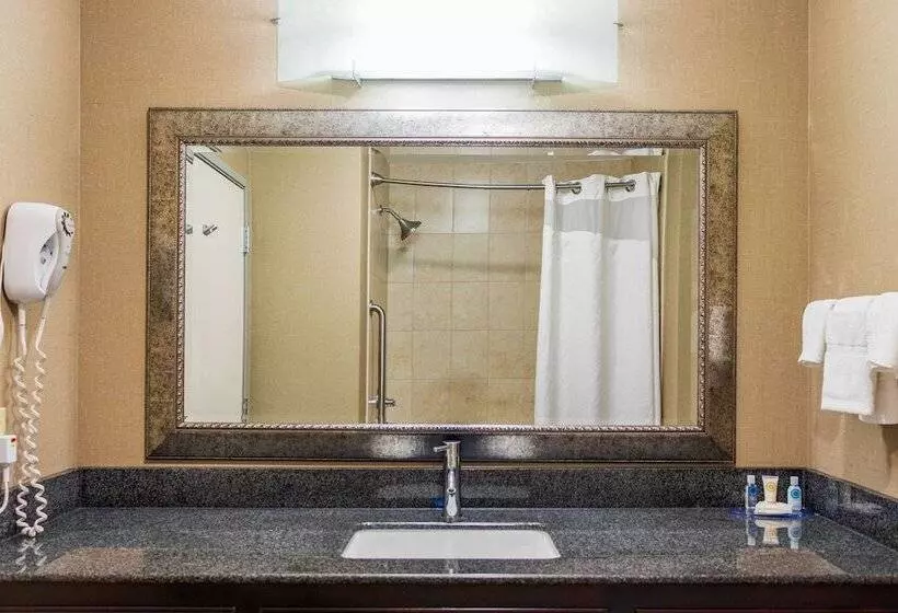 ２ダブルベッドのスタンダードルーム, Comfort Inn & Suites Plainvillefoxboro