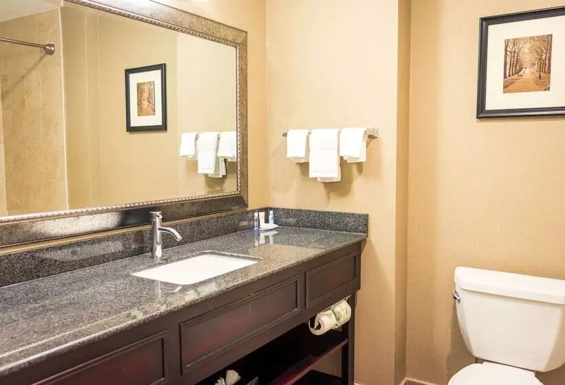２ダブルベッドのスタンダードルーム, Comfort Inn & Suites Plainvillefoxboro